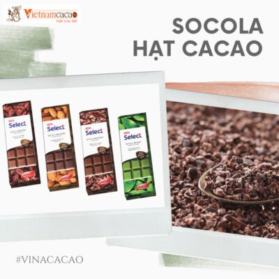 Socola Hạt Cacao